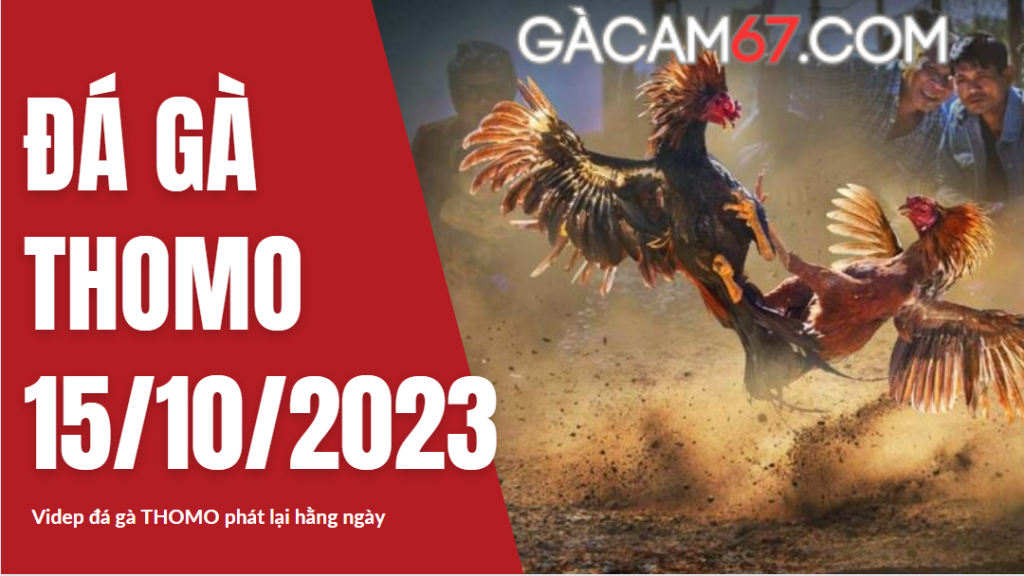 GACAM67 | Đá Gà Trực Tiếp Bình Luận Viên Hôm Nay Thomo C1 C2 C3 C4 C5 Hôm Nay Mới Nhất