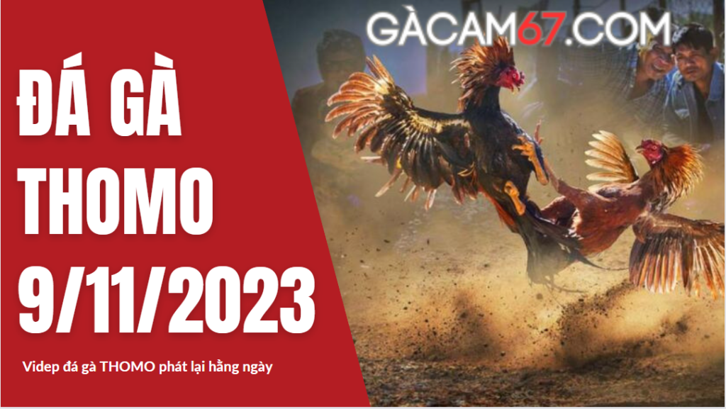 GACAM67 | Đá Gà Trực Tiếp Bình Luận Viên Hôm Nay Thomo C1 C2 C3 C4 C5 Hôm Nay Mới Nhất