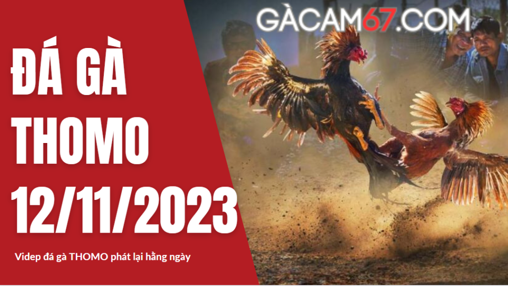 GACAM67 | Đá Gà Trực Tiếp Bình Luận Viên Hôm Nay Thomo C1 C2 C3 C4 C5 Hôm Nay Mới Nhất