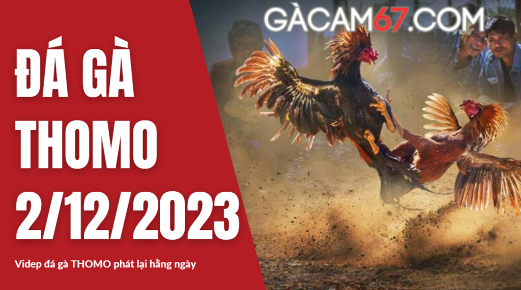 GACAM67 | Đá Gà Trực Tiếp Bình Luận Viên Hôm Nay Thomo C1 C2 C3 C4 C5 Hôm Nay Mới Nhất
