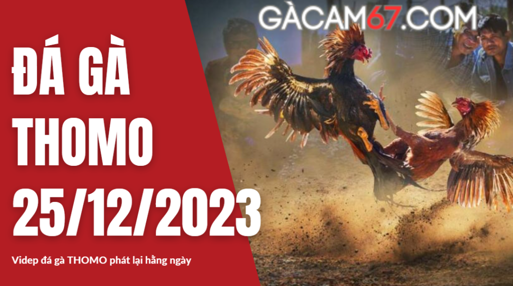 GACAM67 | Đá Gà Trực Tiếp Bình Luận Viên Hôm Nay Thomo C1 C2 C3 C4 C5 Hôm Nay Mới Nhất