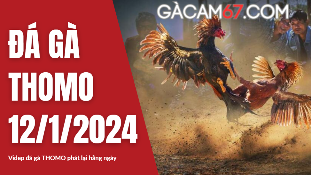 GACAM67 | Đá Gà Trực Tiếp Bình Luận Viên Hôm Nay Thomo C1 C2 C3 C4 C5 Hôm Nay Mới Nhất