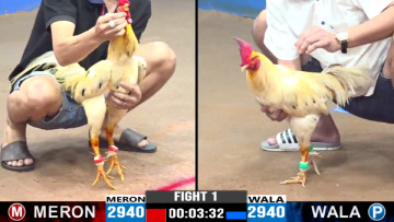 GACAM67 | Đá Gà Trực Tiếp Bình Luận Viên Hôm Nay Thomo C1 C2 C3 C4 C5 Hôm Nay Mới Nhất