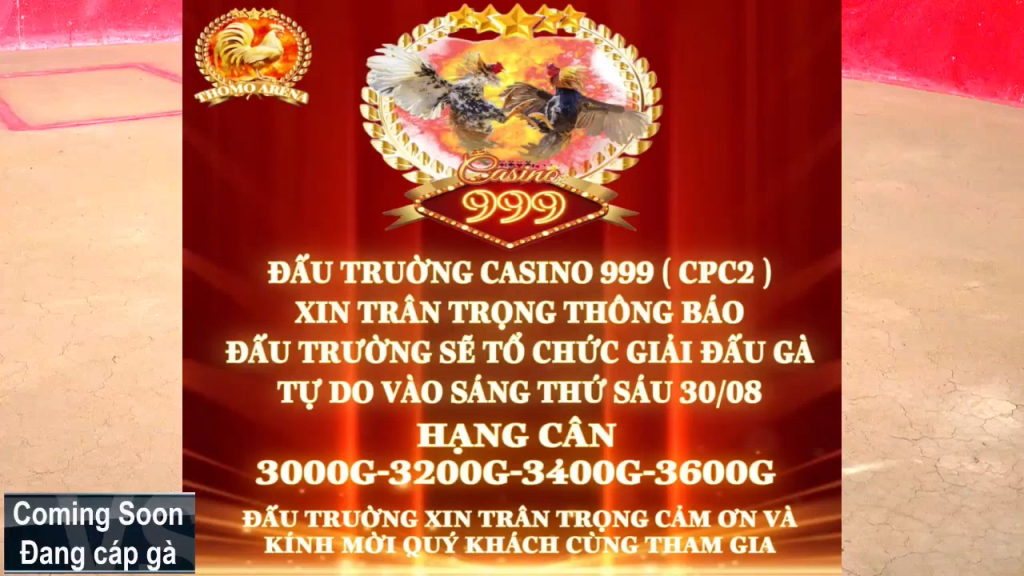 GACAM67 | Đá Gà Trực Tiếp Bình Luận Viên Hôm Nay Thomo C1 C2 C3 C4 C5 Hôm Nay Mới Nhất