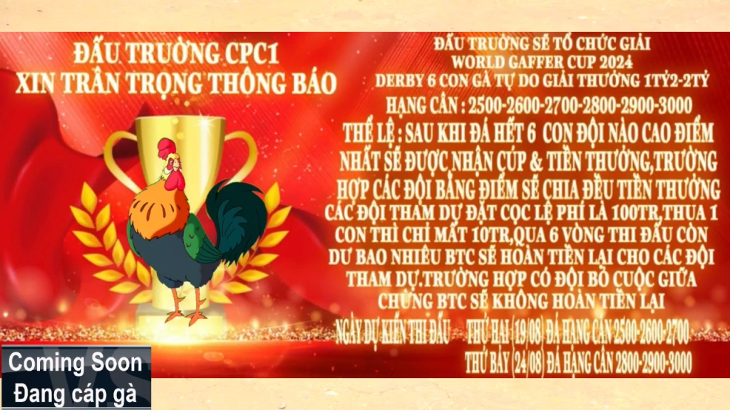 GACAM67 | Đá Gà Trực Tiếp Bình Luận Viên Hôm Nay Thomo C1 C2 C3 C4 C5 Hôm Nay Mới Nhất