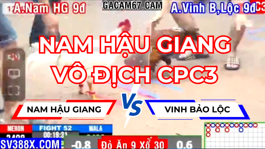 GACAM67 | Đá Gà Trực Tiếp Bình Luận Viên Hôm Nay Thomo C1 C2 C3 C4 C5 Hôm Nay Mới Nhất