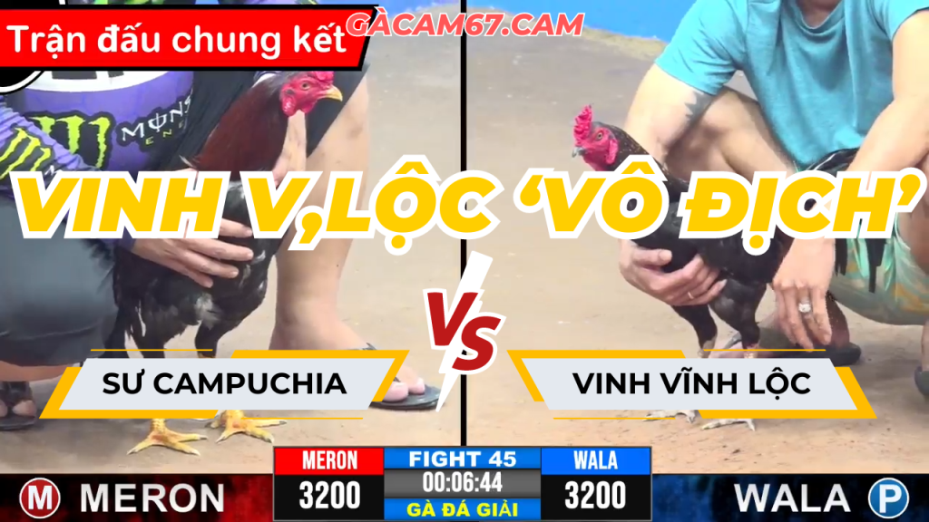 GACAM67 | Đá Gà Trực Tiếp Bình Luận Viên Hôm Nay Thomo C1 C2 C3 C4 C5 Hôm Nay Mới Nhất