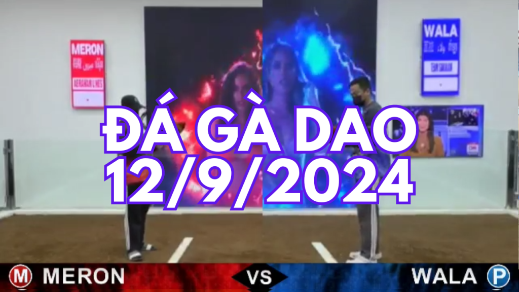 GACAM67 | Đá Gà Trực Tiếp Bình Luận Viên Hôm Nay Thomo C1 C2 C3 C4 C5 Hôm Nay Mới Nhất