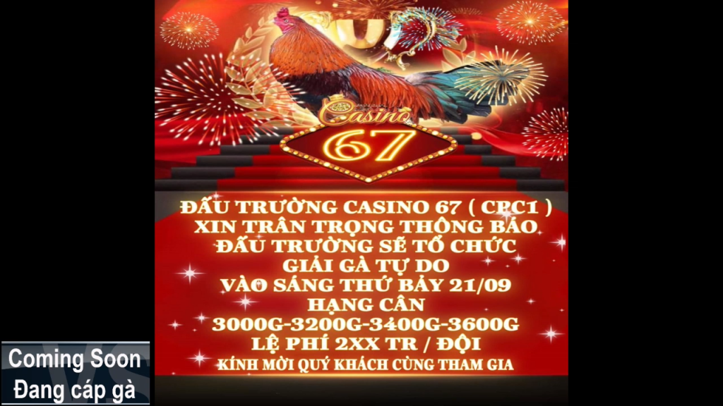GACAM67 | Đá Gà Trực Tiếp Bình Luận Viên Hôm Nay Thomo C1 C2 C3 C4 C5 Hôm Nay Mới Nhất