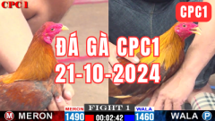 Đá gà là một trò chơi đầy cảm hứng và hấp dẫn, thu hút sự chú ý của nhiều người ở Việt Nam. Tuy nhiên, đá gà ở Việt Nam không