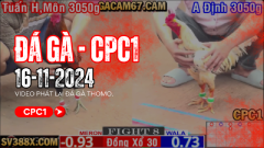 Trực tiếp đá gà thomo hôm nay cũng tương tự đá gà trực tiếp CPC được live trên trang gacam67 từ thứ hai đến chủ nhật mỗi tuần. Chỉ có riêng duy nhất thứ 7 là thi đấu và bắt đầu vào lúc 8h30 nên hãy chú ý. Anh em hãy vào trang Web của mình để được xem Đá gà trực tiếp bình luận free nha Hiện nay với tình trạng đại dịch corona-covid 19 như hiện nay việc đá gà thomo có thể trở lại được nữa không là một ẩn số. Mời các anh em bà con bạn dì góp ý giúp Gacam67 nhé.
