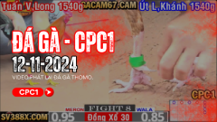 Các website gacam67.com uy tín đã được xây dựng nhằm đảm bảo trải nghiệm xem trận đấu tốt nhất. Do đó, đảm bảo không bị giật, lag dù cho số lượng người xem đông hay là không.