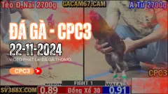 Đá gà C3 được tổ chức tại nhiều địa điểm uy tín, nơi đảm bảo tính công bằng và minh bạch cho các trận đấu. Dưới đây là một số địa điểm nổi bật: