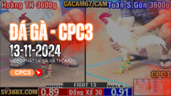 Đá gà thomo trực tiếp chủ yếu sẽ cung cấp những trận đá gà cựa sắt, mỗi trận đấu đều mang đến những cảm xúc đáng nhớ, đáng xem và đáng trải nghiệm.Điểm hấp dẫn giúp thu hút của loại hình đá gà này chính là mỗi chiến kê sẽ được trang bị thêm “vũ khí” cho mình. Mục đích của việc này là tăng lực sát thương cho các trận đấu.