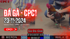 Xin chúc mừng anh Dự Bảo Lộc đã xuất sắc giành chức vô địch và anh Trọng Trọng Tây Ninh dành giải nhì trong giải gà tự do tại bồ CPC1 vào ngày 23/11/2024.