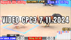 GACAM67 | Đá Gà Trực Tiếp Bình Luận Viên Hôm Nay Thomo C1 C2 C3 C4 C5 Hôm Nay Mới Nhất