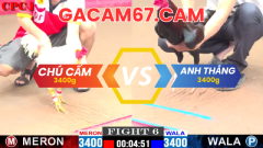 Đá gà C1 là một cấp bậc trong các giải đấu đá gà, nơi mà các chiến kê tham gia có trình độ và kỹ năng ở mức trung bình so với các cấp bậc cao hơn như C1 và C2. Đây là hình thức thi đấu phổ biến, thu hút sự quan tâm của nhiều sư kê và người hâm mộ đá gà.