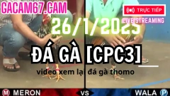 GACAM67 | Đá Gà Trực Tiếp Bình Luận Viên Hôm Nay Thomo C1 C2 C3 C4 C5 Hôm Nay Mới Nhất