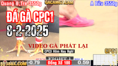 Tại đây hàng ngày đều Trực tiếp hàng chục Trận Đá Gà Thomo kịch tích và được đông đảo người chơi Cá cược quan tâm nồng nhiệt.