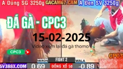 GACAM67 | Đá Gà Trực Tiếp Bình Luận Viên Hôm Nay Thomo C1 C2 C3 C4 C5 Hôm Nay Mới Nhất