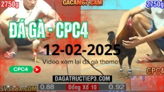 GACAM67 | Đá Gà Trực Tiếp Bình Luận Viên Hôm Nay Thomo C1 C2 C3 C4 C5 Hôm Nay Mới Nhất