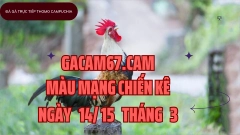GACAM67 | Đá Gà Trực Tiếp Bình Luận Viên Hôm Nay Thomo C1 C2 C3 C4 C5 Hôm Nay Mới Nhất