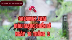 GACAM67 | Đá Gà Trực Tiếp Bình Luận Viên Hôm Nay Thomo C1 C2 C3 C4 C5 Hôm Nay Mới Nhất