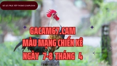 GACAM67 | Đá Gà Trực Tiếp Bình Luận Viên Hôm Nay Thomo C1 C2 C3 C4 C5 Hôm Nay Mới Nhất
