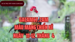 GACAM67 | Đá Gà Trực Tiếp Bình Luận Viên Hôm Nay Thomo C1 C2 C3 C4 C5 Hôm Nay Mới Nhất